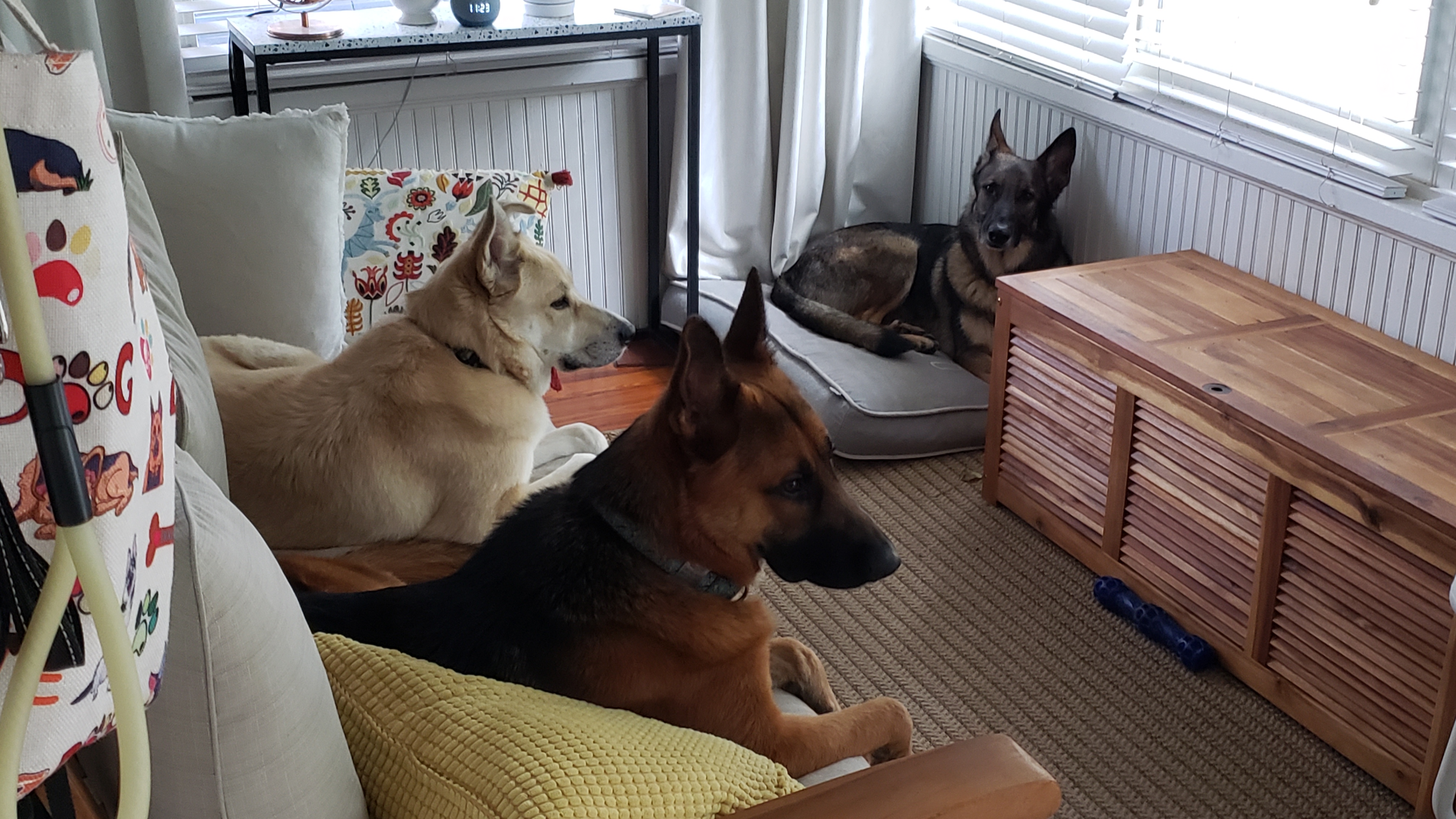 Scene from a recent Staff Meeting